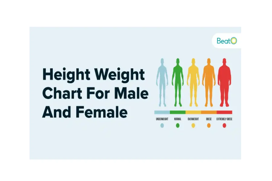 Average Height and Weight for Women: Understanding Health, Body Image, and Emotional Well-Being